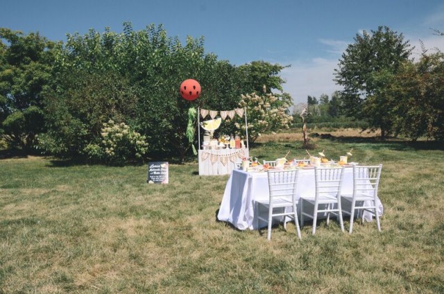 lemon and melon themed party