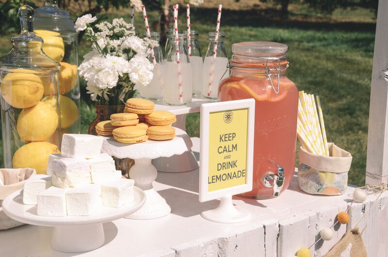 keep calm and drink lemonade styled photoshoot and party