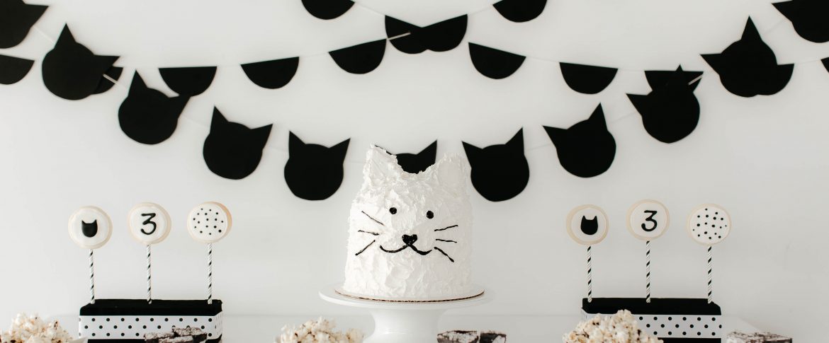 Black and White Cat Cake on a Dessert Table
