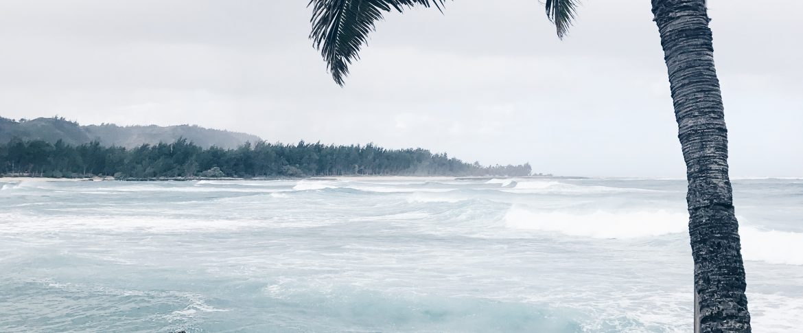 Our Family vacation to Oahu, Hawaii