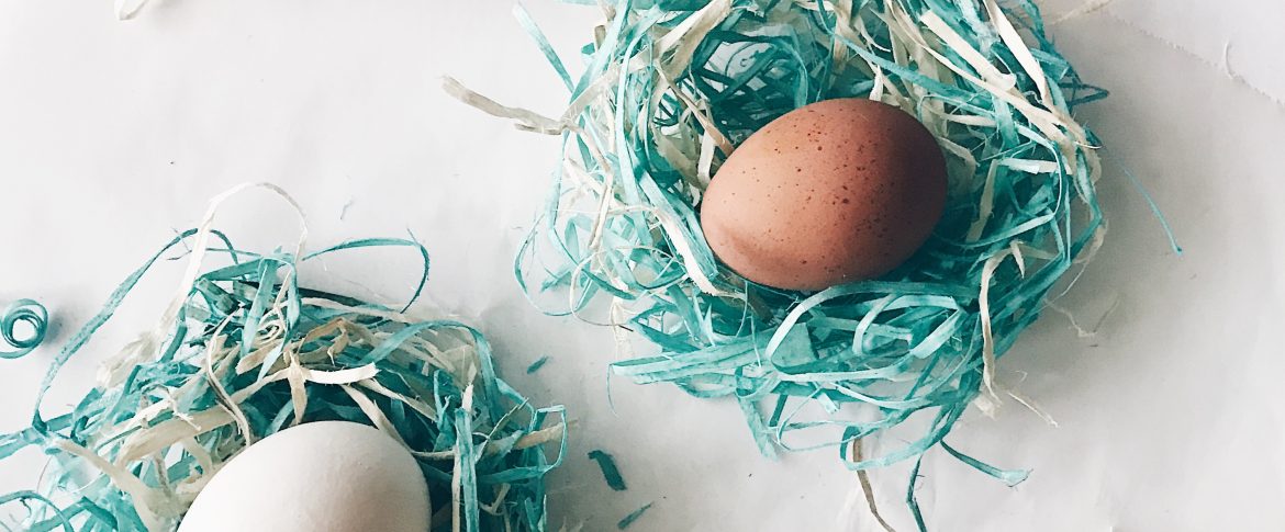 DIY Baby Birds Nest from Easter Basket Shavings