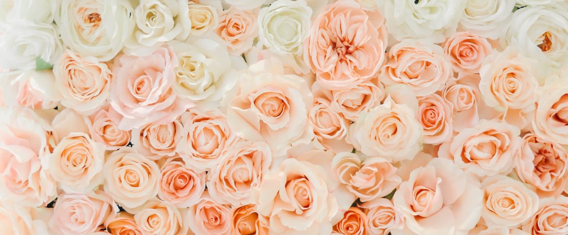 Tips and Encouragement from Vancity Business Babes Blogger Party