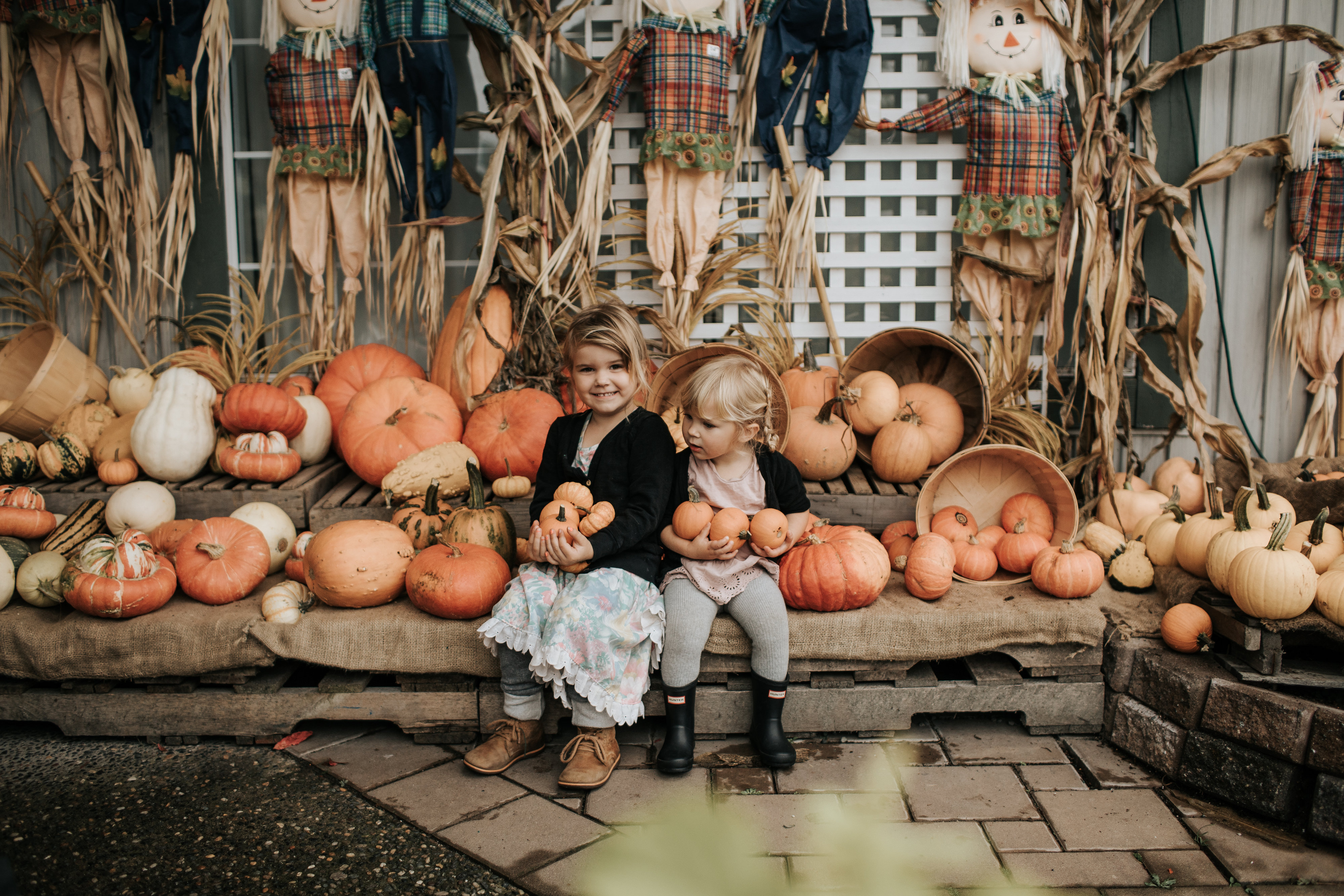 Mintry Country Gardens | Things to do in Chilliwack, BC