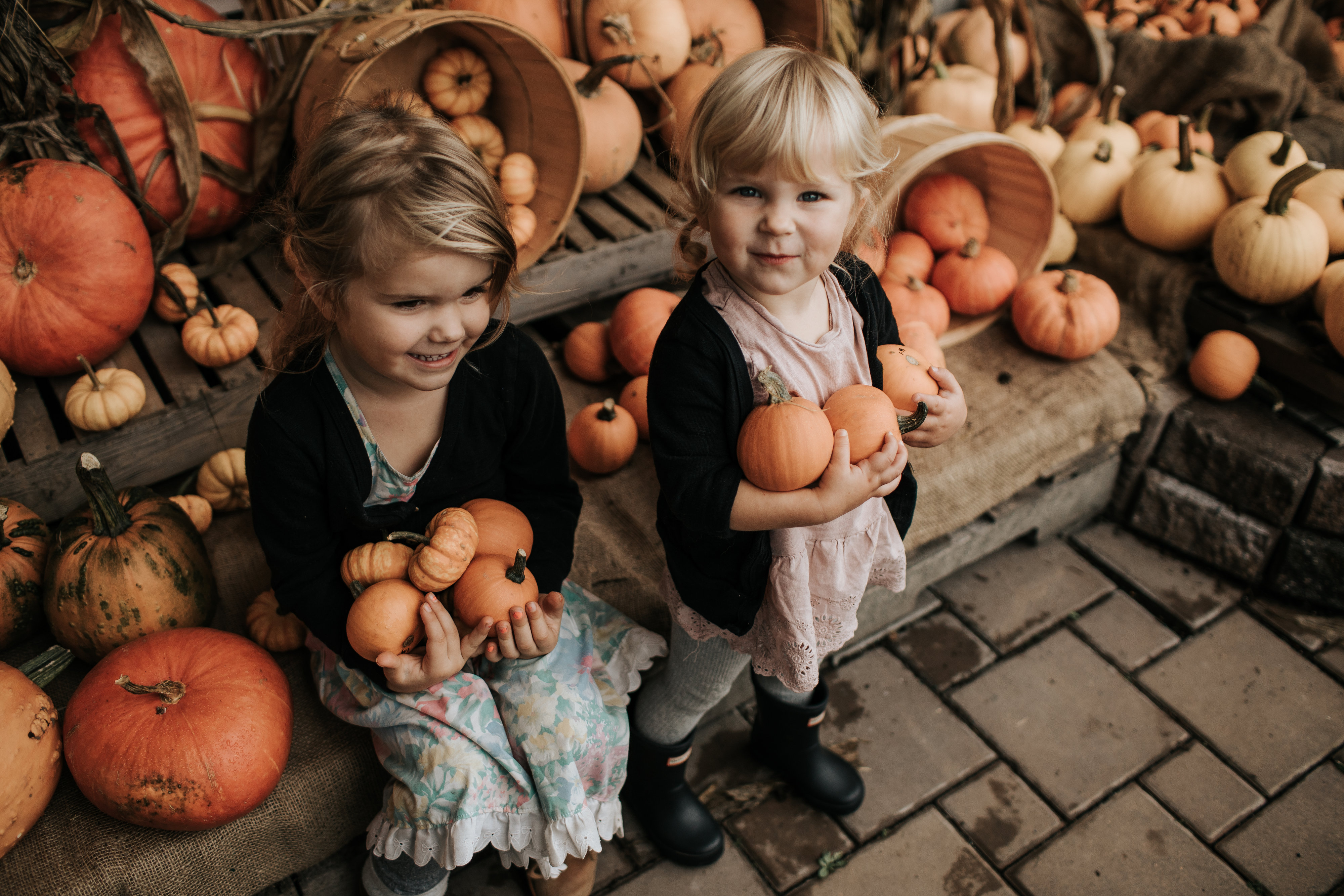 Mintry Country Gardens | Things to do in Chilliwack, BC