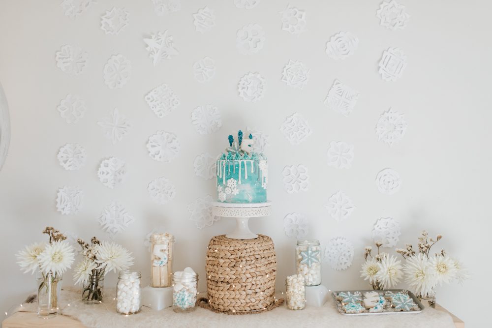 Frozen / Elsa Themed Princess Party in Vancouver and the Lower Mainland