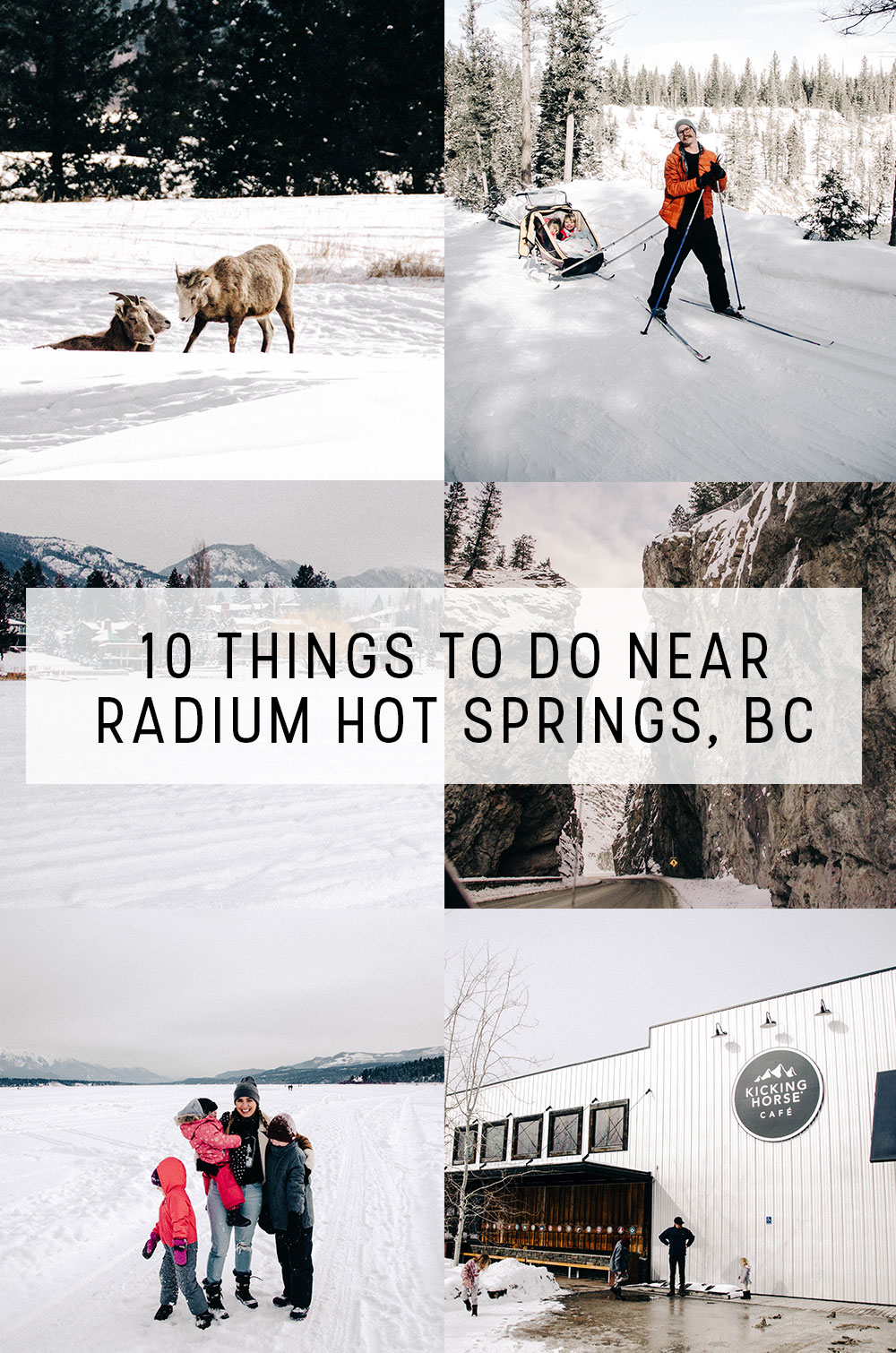 10 Things to do Near Radium Hot Springs | Big Horn Meadows Resort, Nipika Cross Country Skiing, Radium Hot Springs Pools, Windermere Lake, Kicking Horse Coffee, Big Horn Sheep Sightings