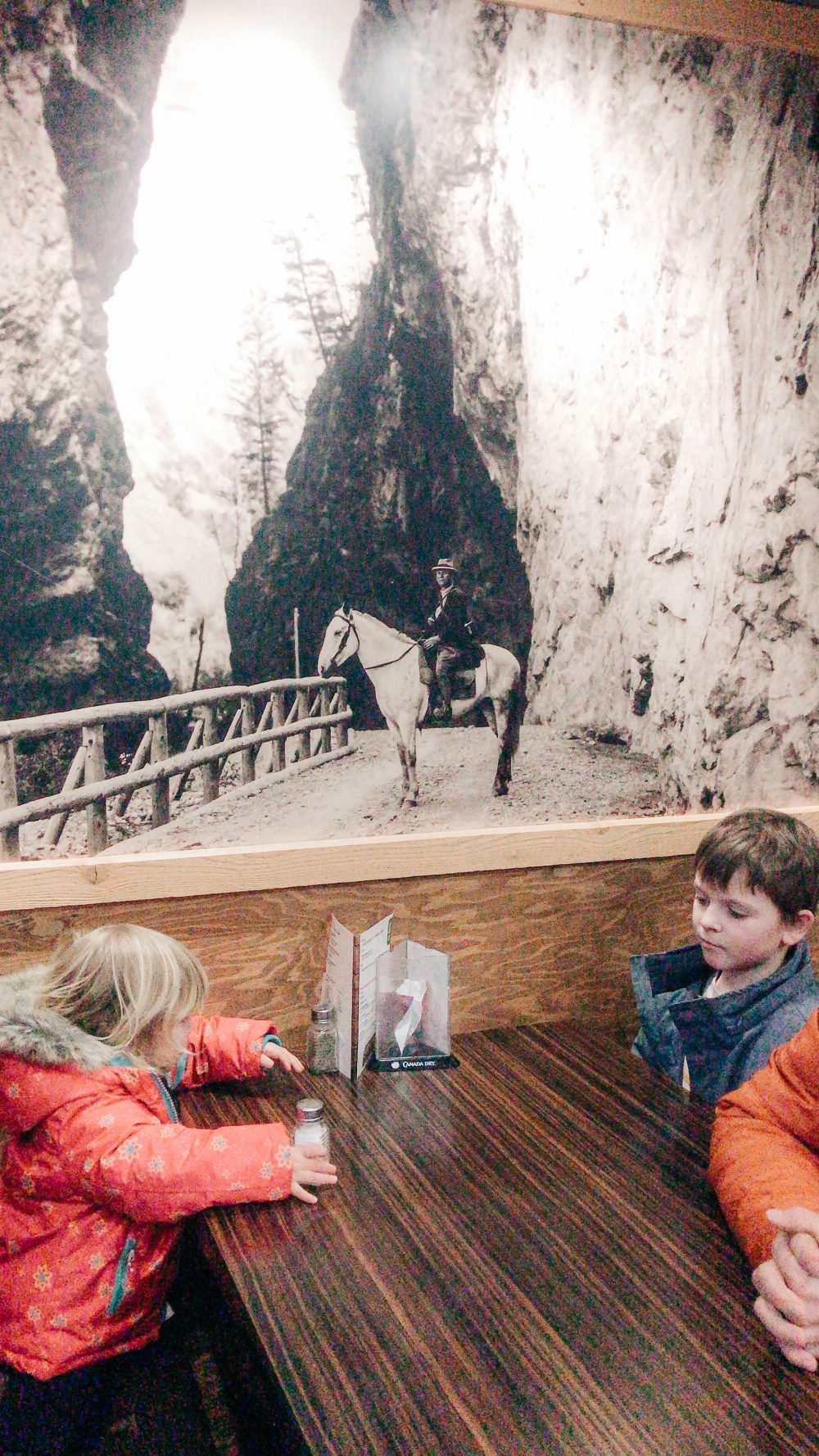 Things to do Near Radium Hot Springs and Invermere