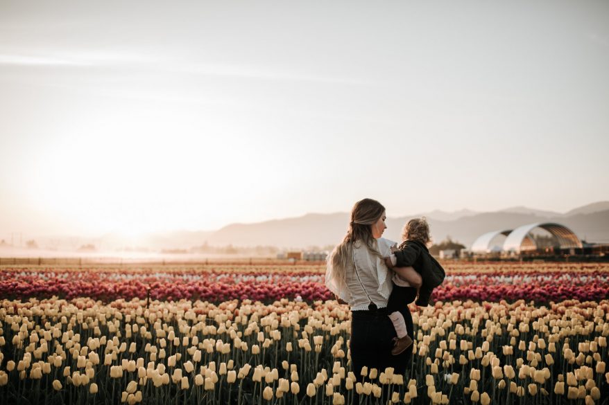 Things to Know Before Going to the Abbotsford Tulip Festival