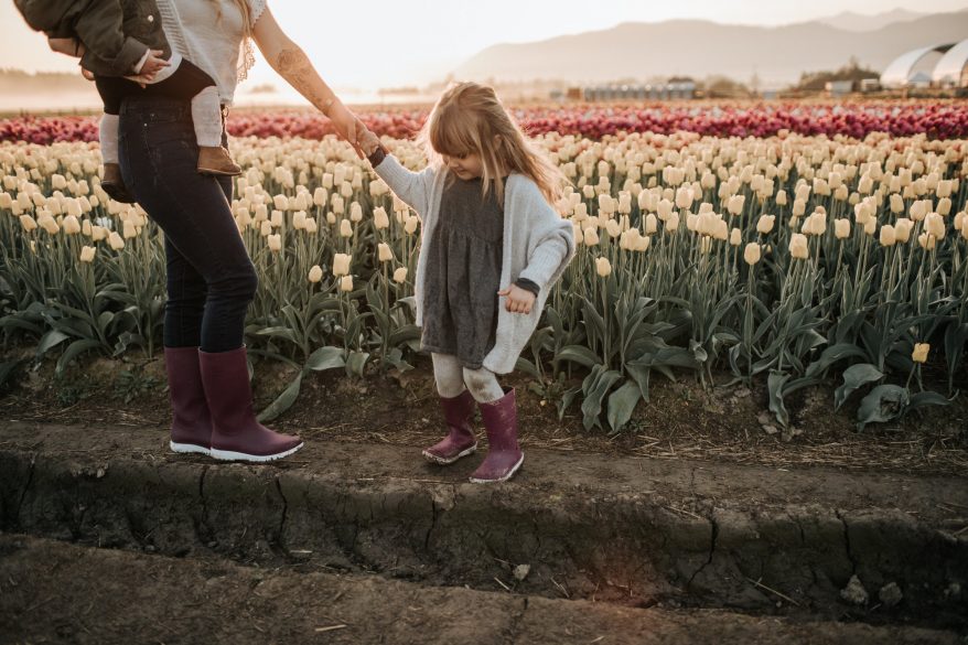 Things to Know Before Going to the Abbotsford Tulip Festival