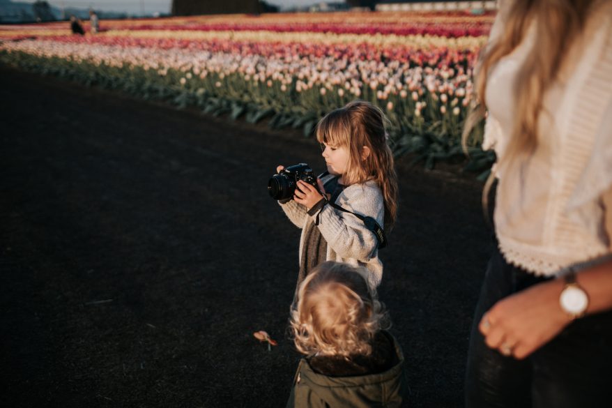 Things to Know Before Going to the Abbotsford Tulip Festival