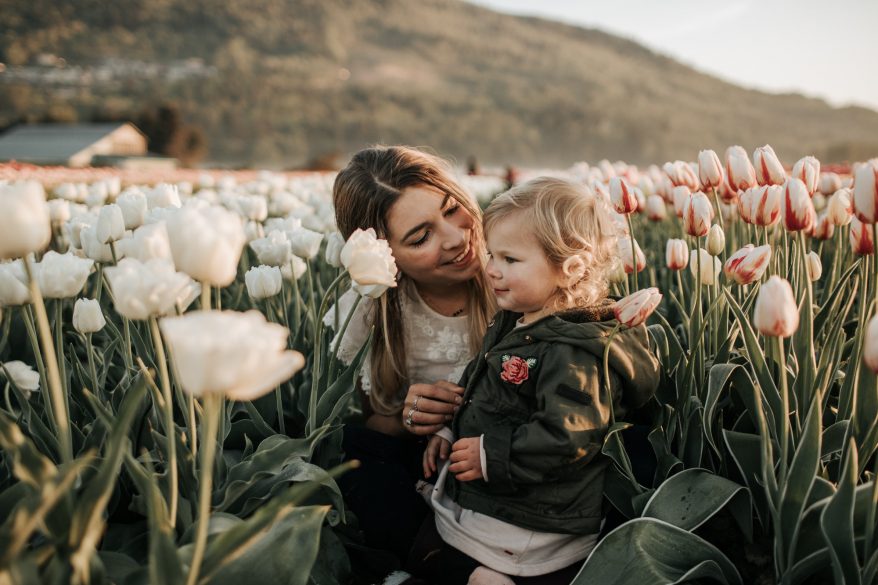 Things to Know Before Going to the Abbotsford Tulip Festival