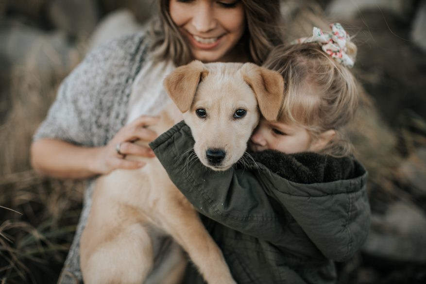 Things to Know Before getting a dog // Labrador Puppy and Little girl
