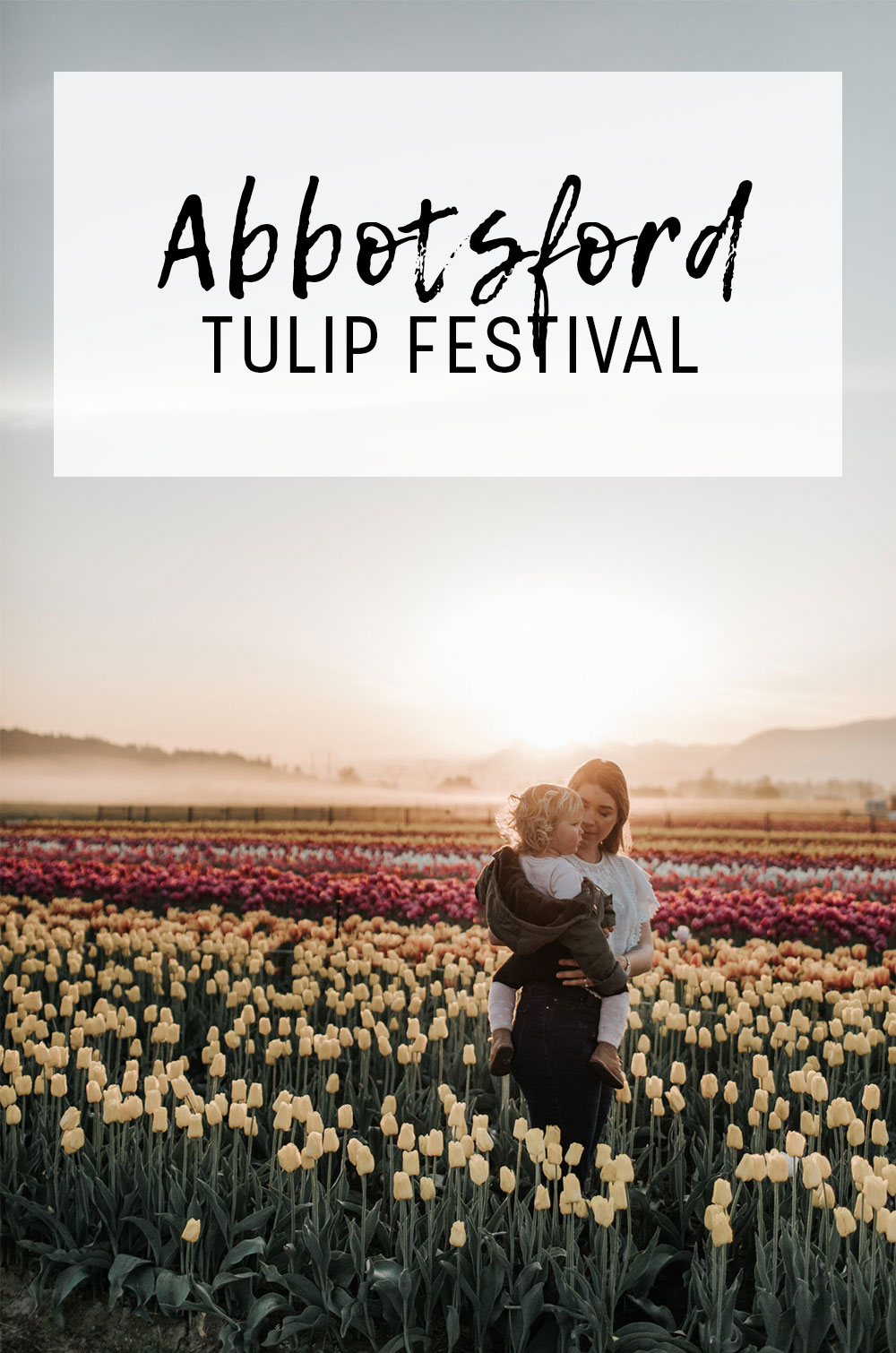 tickets for the abbotsford tulip festival