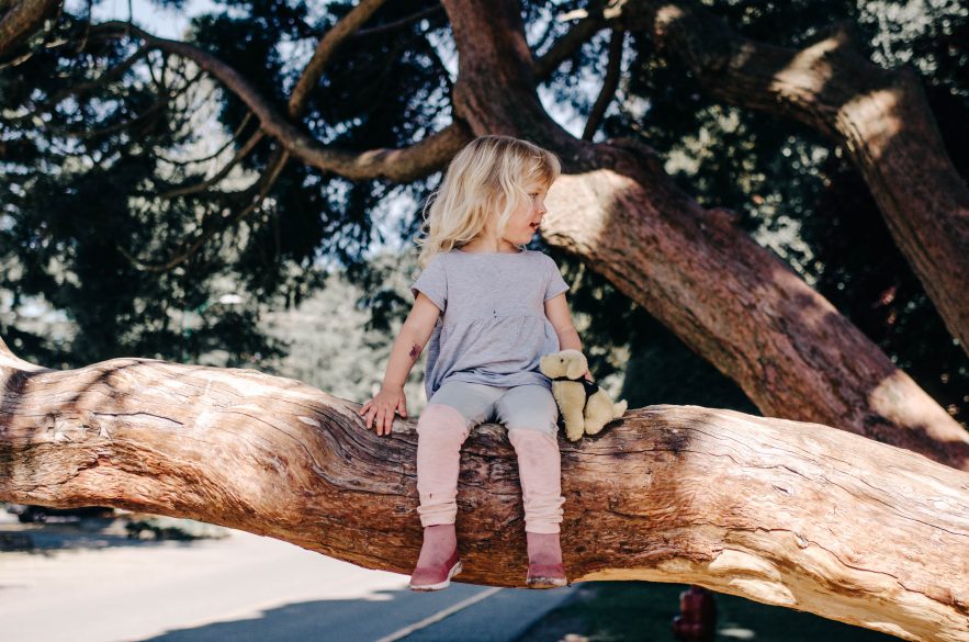 Beacon Hill Children's Farm & Petting Zoo | 10 Things to do in Victoira BC
