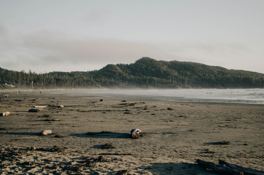 Pacific Sands: Where to Stay and things to do in Tofino