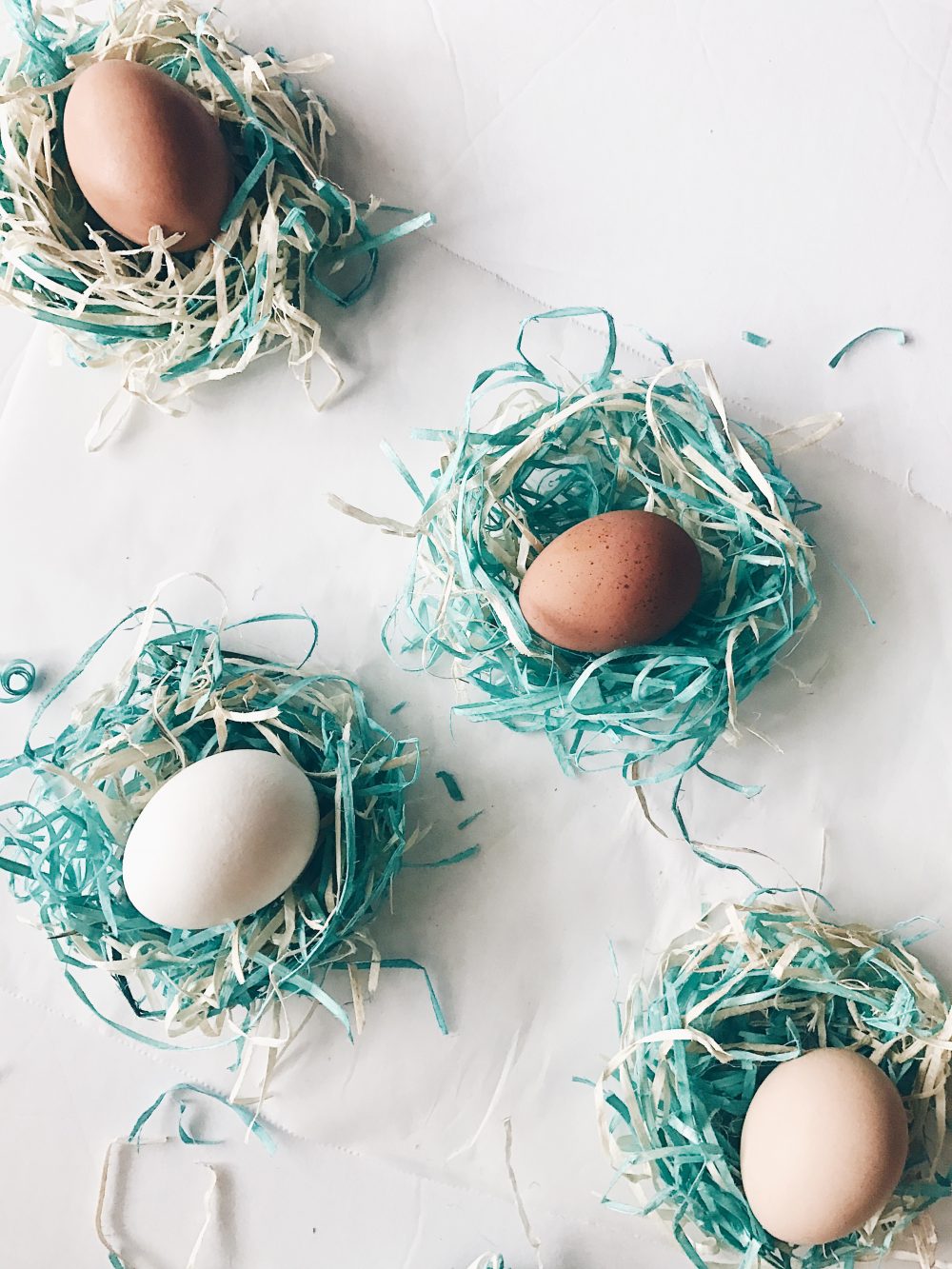 DIY Baby Birds Nest from Easter Basket Shavings