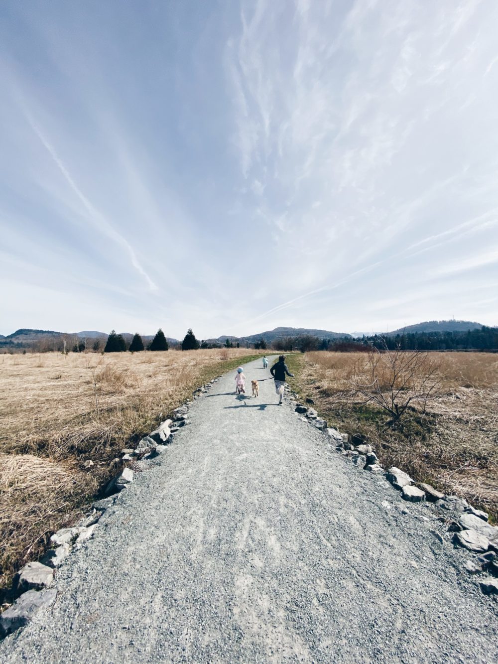 Willband Park | List of walks and hikes for kids in abbotsford and the fraser valley