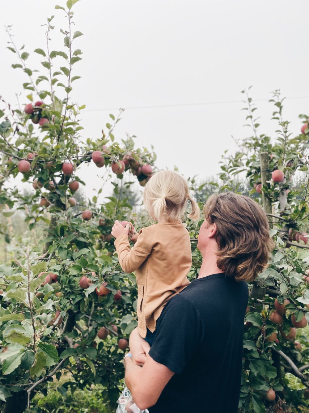 Five Pumpkin Patches in Abbotsford and Chilliwack, BC